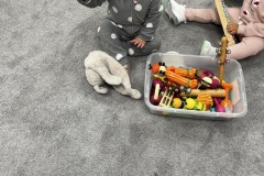IMG_9228